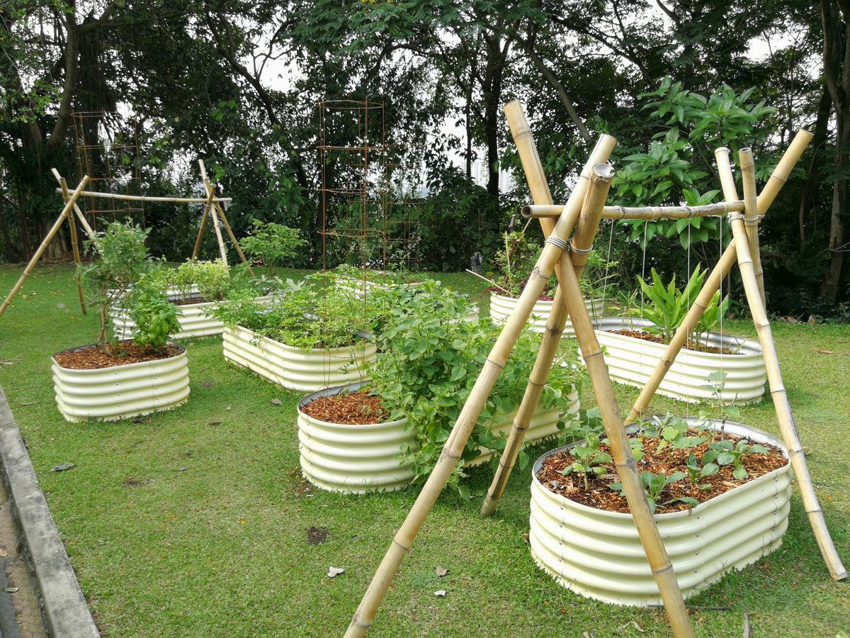 Raised Garden Planter