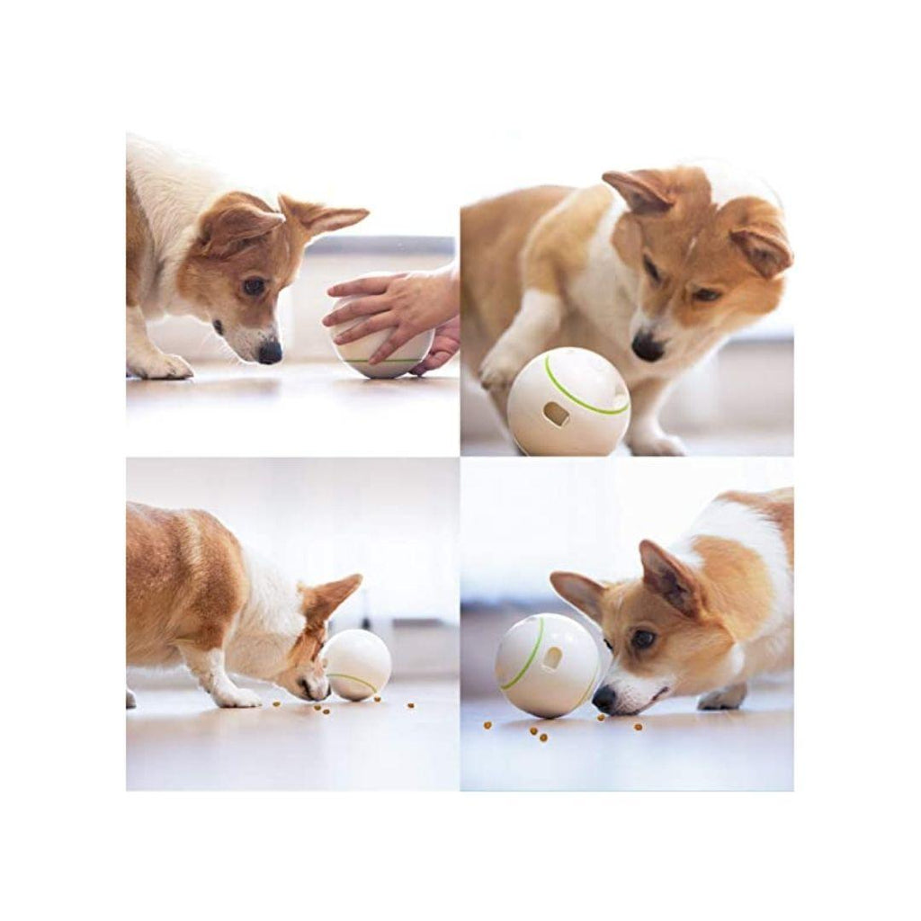 Interactive Pet Toy