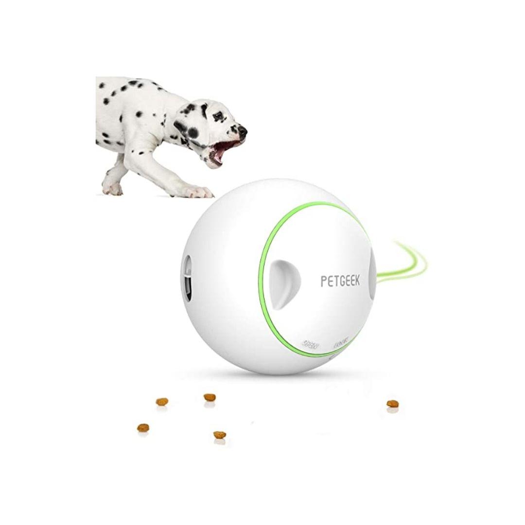 Interactive Pet Toy