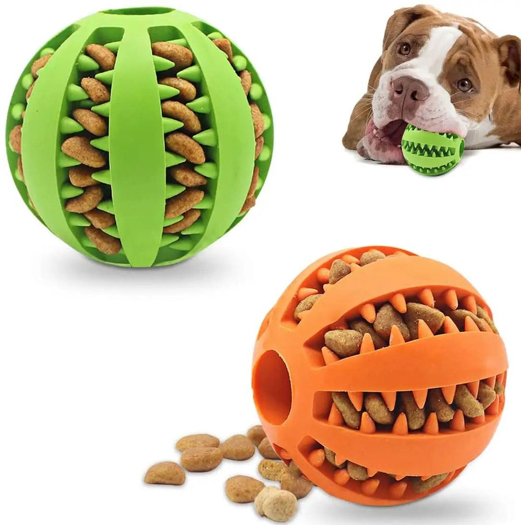 Interactive Pet Toy